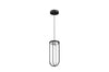 In Vitro Suspension Lamp
