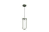 In Vitro Suspension Lamp