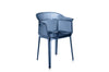 Papyrus Chair