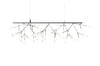 Heracleum III Endless Suspension Lamp-Moooi-Space Furniture AU