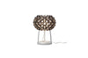 Caboche Plus Table Lamp-Foscarini-Space Furniture AU