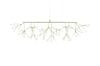 Heracleum III Linear Suspension Lamp-Moooi-Space Furniture AU