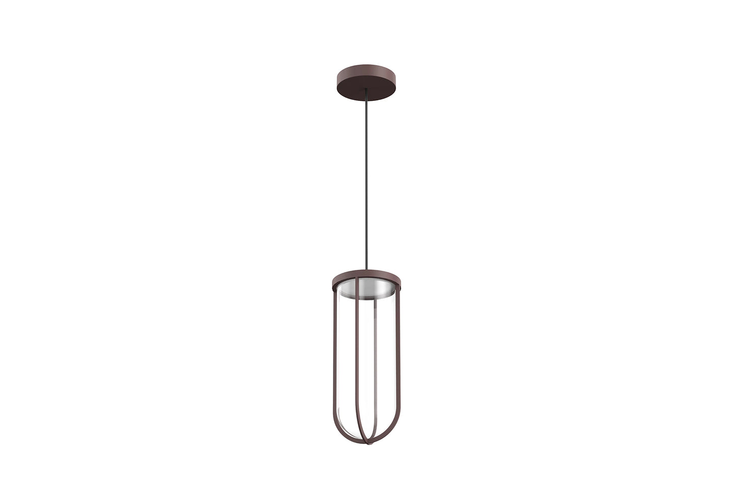 In Vitro Suspension Lamp
