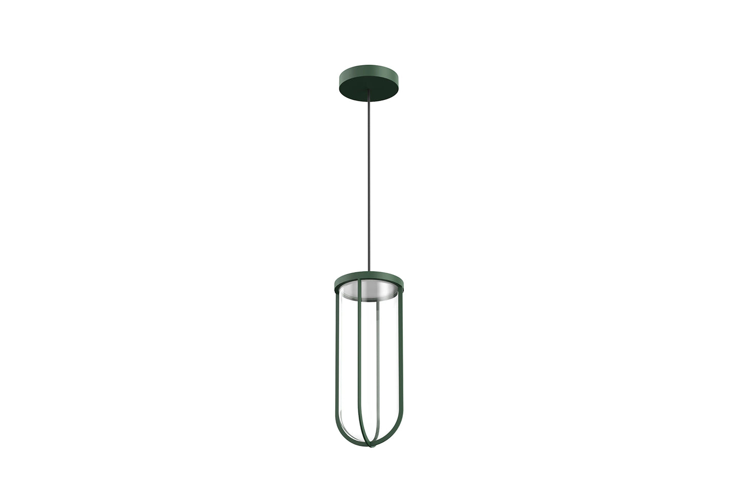 In Vitro Suspension Lamp
