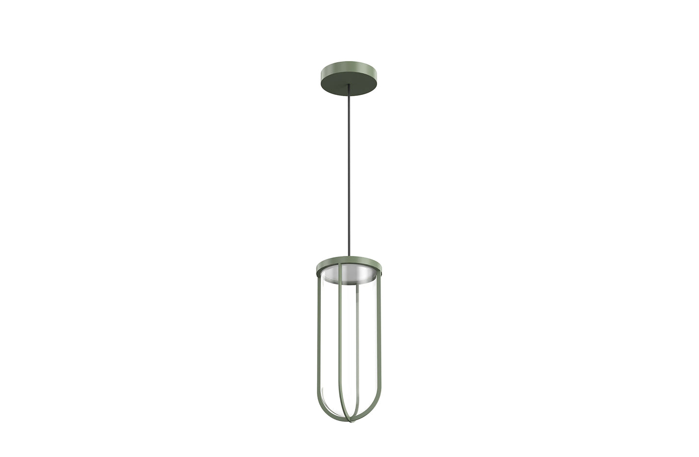 In Vitro Suspension Lamp
