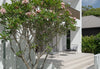 Beyond the threshold, rethinking the outdoor space
