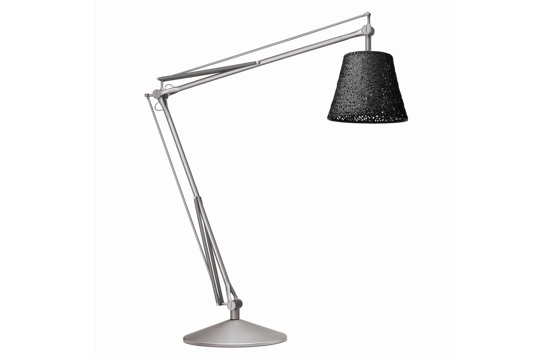 Green Wall / Bulb Sold Separately