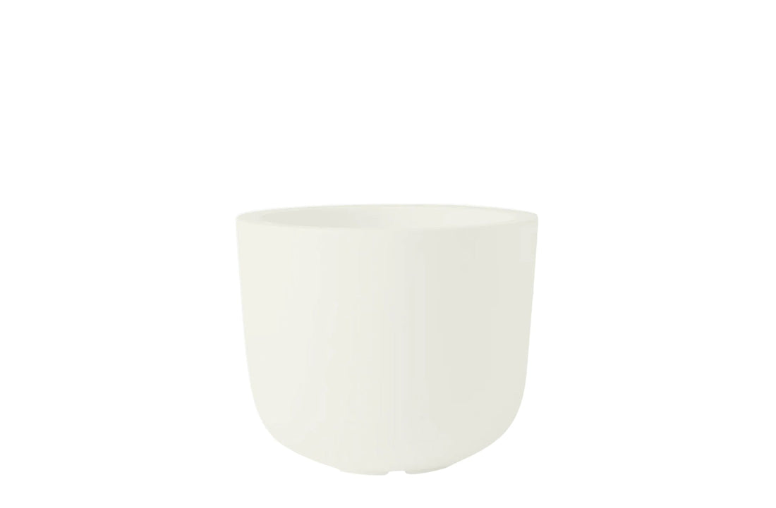 Medium / Standard Bianco
