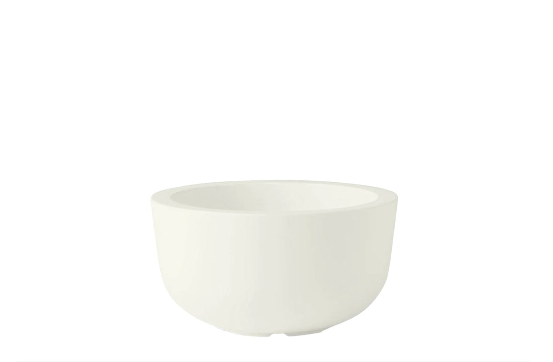 Small / Standard Bianco