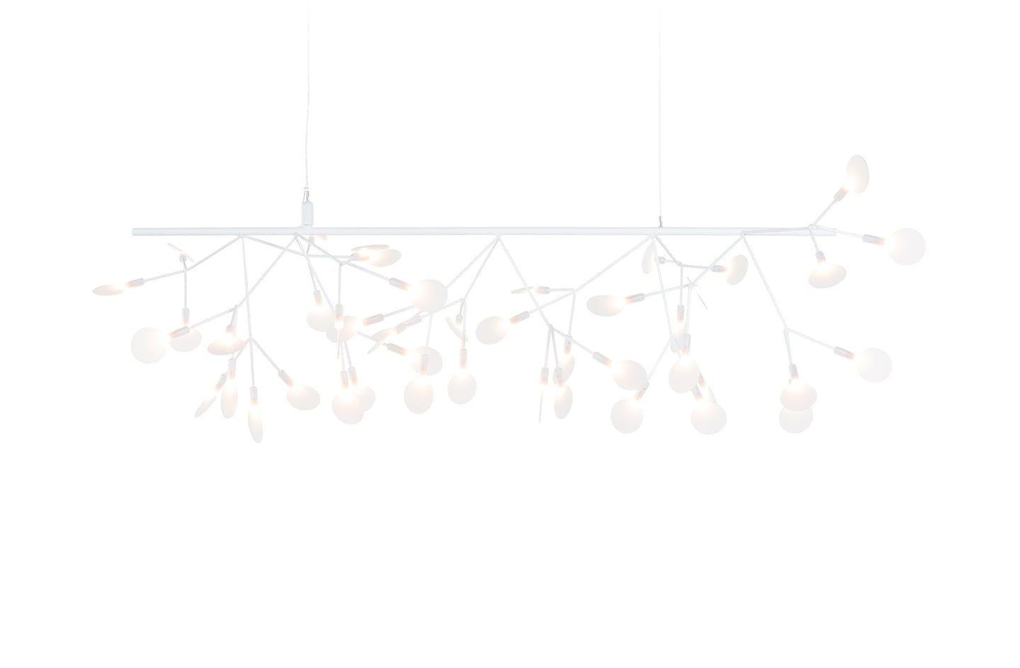 Heracleum III Endless Suspension Lamp-Moooi-Space Furniture AU
